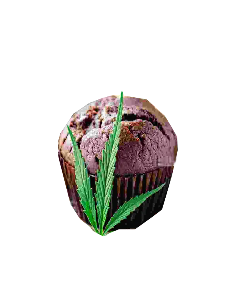 Choco Cup Cake Choco Cup Cake