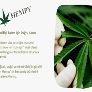 Hanfol-enthalt-Antioxidantien