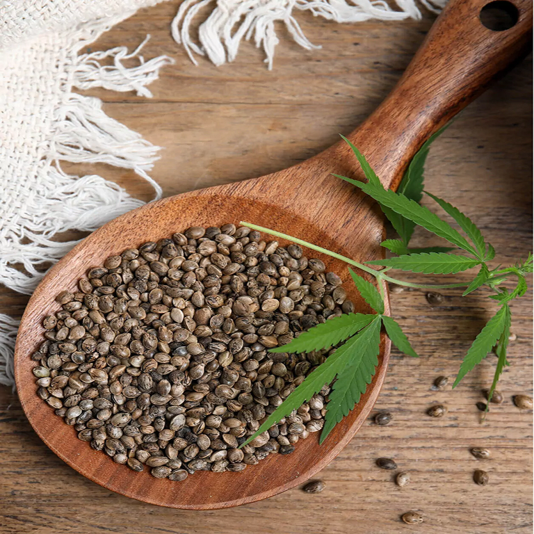 Nachhaltige-Hanfprodukte