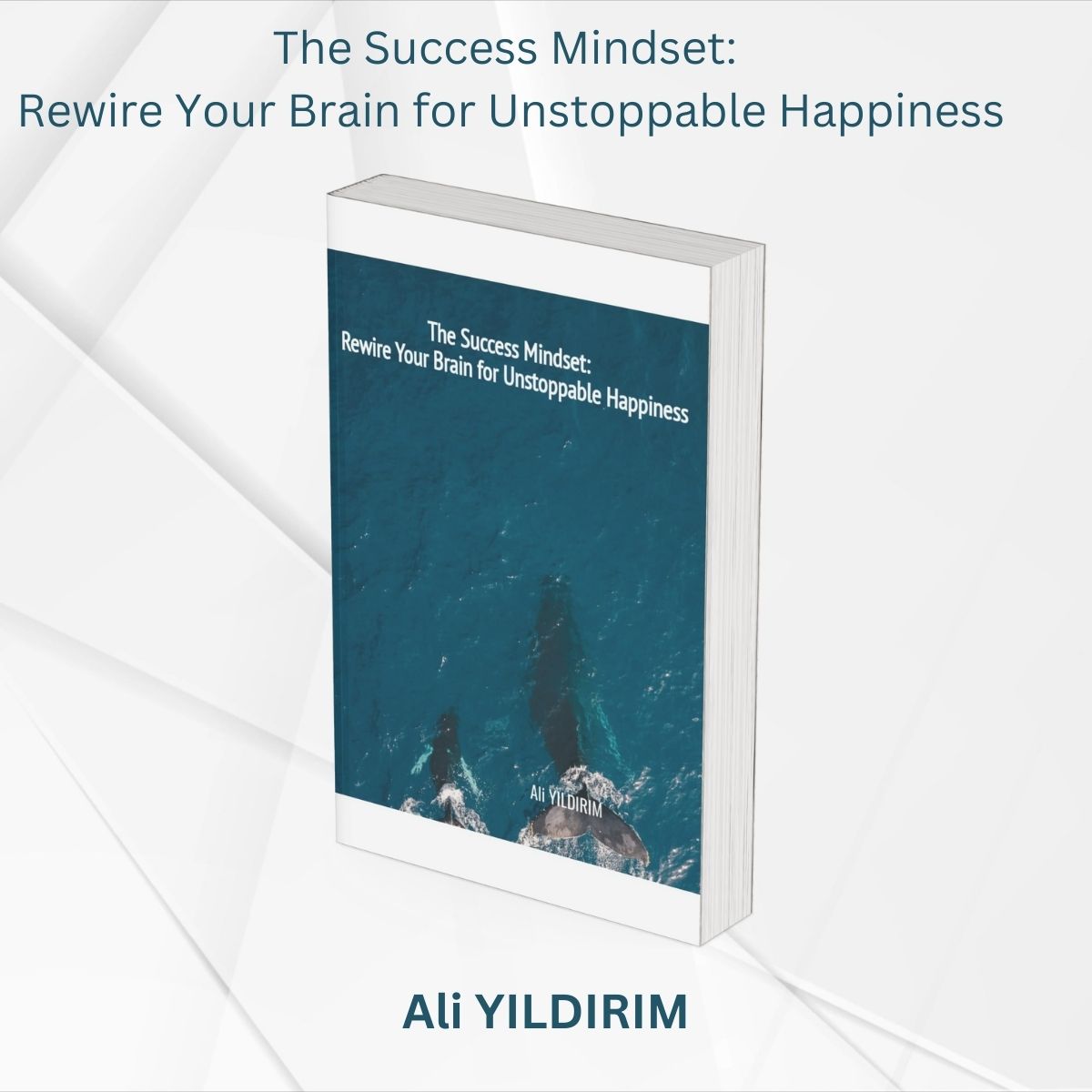 Hempy Natural Ebooks | Author Ali YILDIRIM | Success Mindset